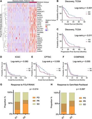 Clinically impactful metabolic subtypes of pancreatic ductal adenocarcinoma (PDAC)